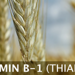 Vitamin B-1: Thiamine