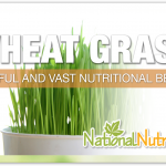 Wheat Grass
