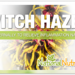 Witch Hazel