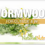 Wormwood