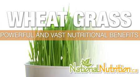 2015/01/Wheat_Grass_Health_Benefits.jpg