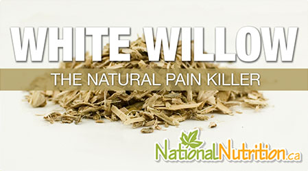 2015/01/White_Willow_for_Pain_Health_Benefits-1.jpg