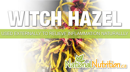 2015/01/Witch_Hazel_inflammation_Health_Benefits.jpg