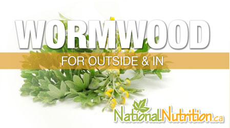 2015/01/Wormwood_Health_Benefits.jpg