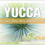 Yucca