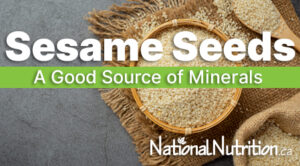 Sesame Seeds