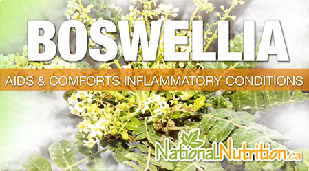 2015/01/boswellia.jpg