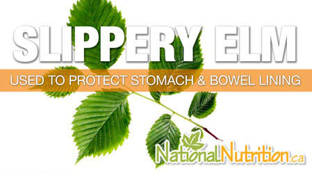 Slippery Elm - National Nutrition Articles