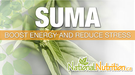 2015/01/suma_herb_Health_Benefits.jpg