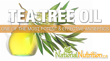 2015/01/tea_tree_oil_Health_Benefits.jpg