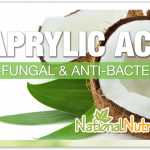 Caprylic Acid
