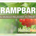 Crampbark: Explore Its Powerful Healing Benefits