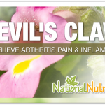 Devil's Claw: Unlock The Power of Herbs