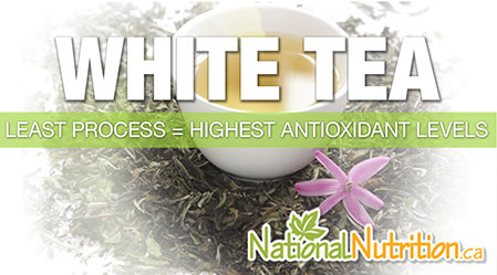 2015/05/White_Tea_Antioxidant_Health_Benefits.jpg