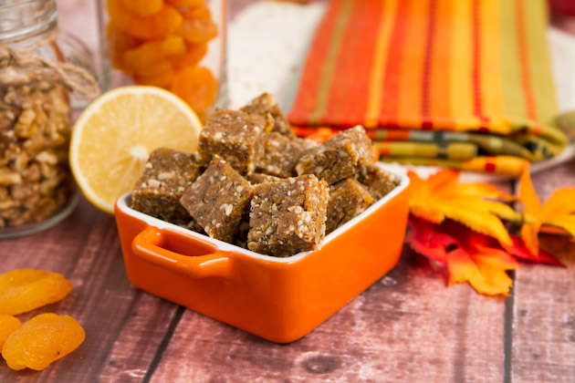 Dried Fruit healthful squares