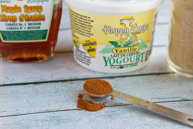 Gingerbread Yogurt Cups-4816