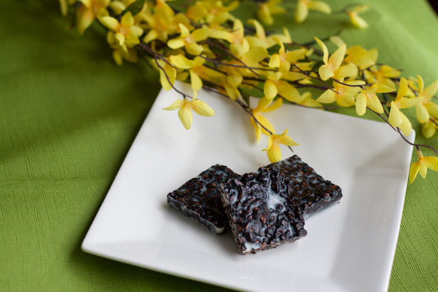 No Bake Chewy Carob Squares