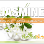 Jasmine: A Medical Herb