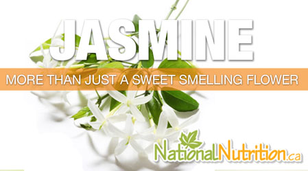 2017/10/Jasmine_tea_Health_Benefits.jpg