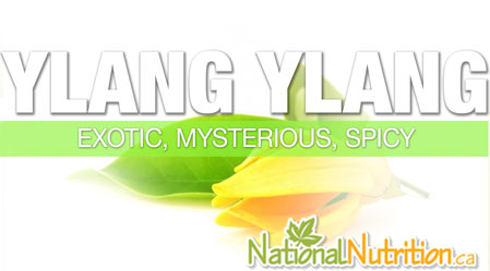 2017/10/Ylang_Ylang_Essential_Oil.jpg