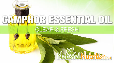 2017/12/Camphor_Essential_Oil.jpg