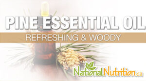 Pine Essential Oil