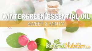 Wintergreen Essential Oil