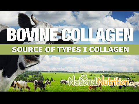 Bovine Collagen  - National Nutrition Articles