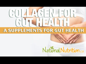 Collagen and Gut Health