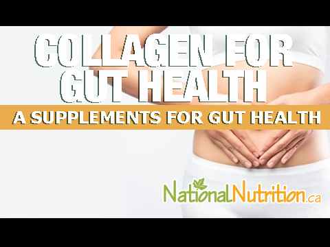 2023/02/COLLAGEN-FOR-GUT-HEALTH-AP.jpg