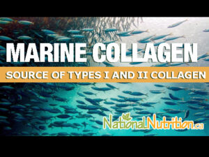 Marine Collagen
