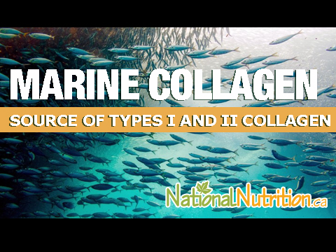 2023/02/MARINE-COLLAGEN-AP.jpg
