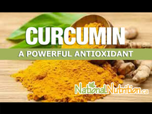 Curcuma Longa: A Powerful Antioxidant