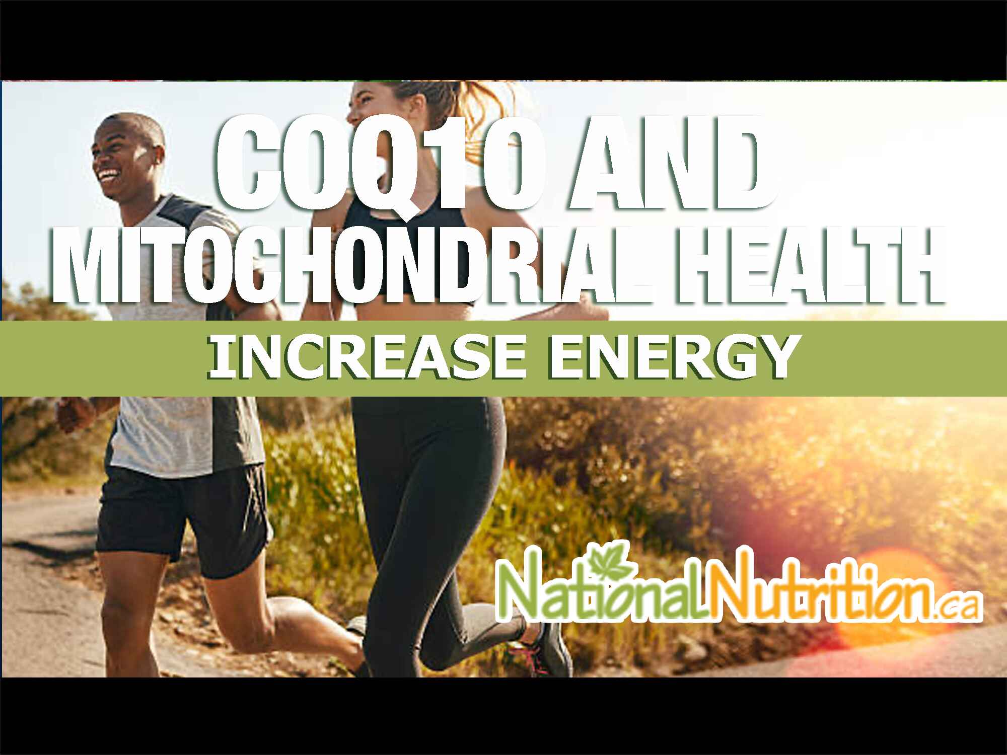 2023/05/CoQ10-and-Mitochondrial-Health.jpg