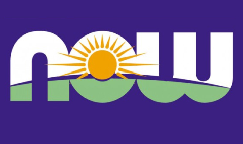 2023/07/Article-Now_Foods.jpg