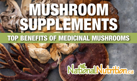 2023/09/Article_Banner_Medicinal_Mushroom_Benefits.jpg