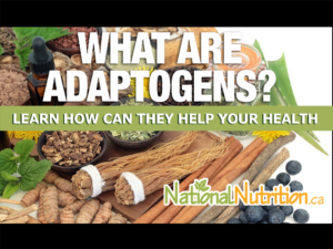 What Are Adaptogens?