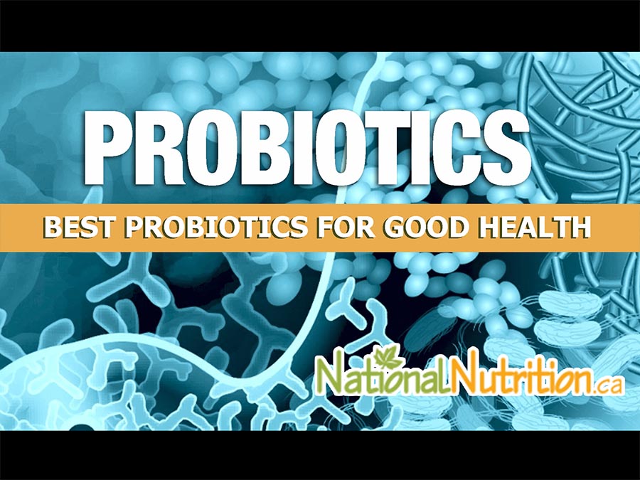 2024/03/BEST-PROBIOTICS-FOR-GOOD-HEALTH.jpg