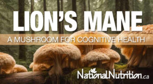 Lion’s Mane: A Mushroom For Cognitive Health