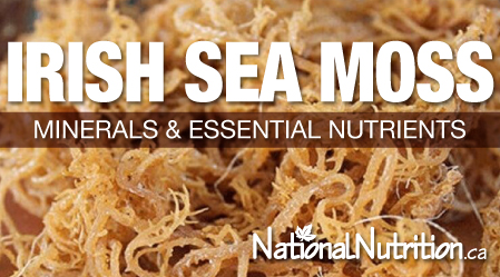 2025/07/article_images_Irish_Sea_Moss.jpg